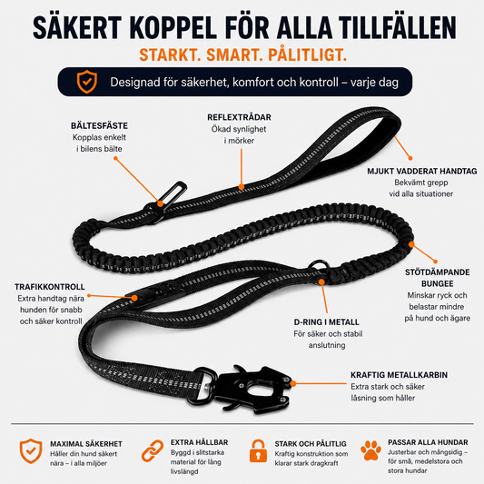PawStrides Bungee-Koppel