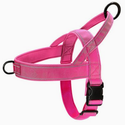 PawStrides No-Pull Hundsele